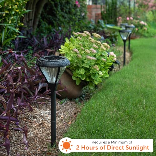 Premier Outdoor Pathway Garden Landscape Light with 2 Color LEDs (2 Count)