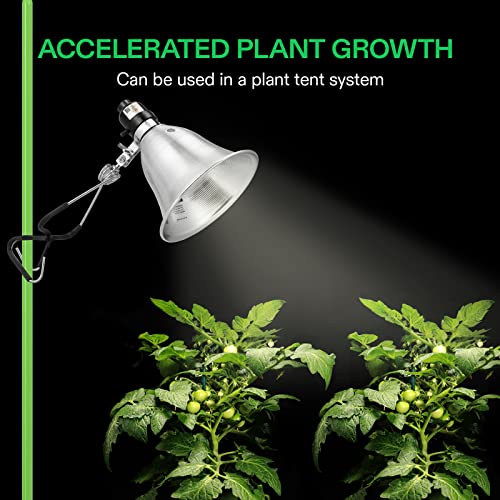 2 Pack Clamp Lamp Light with Detachable 5.5 Inch Aluminum Reflector (2 Count)