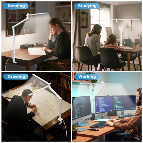 LED Desk Lamp