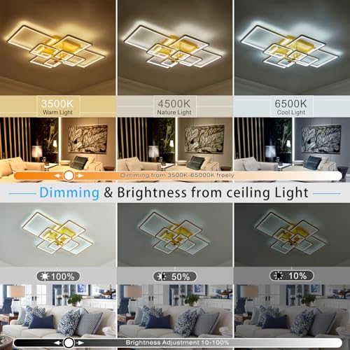 Modern LED Ceiling Light