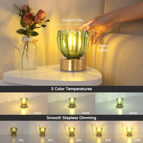 Cordless Small Table Lamp with 5200mAh Battery & Touch Control
