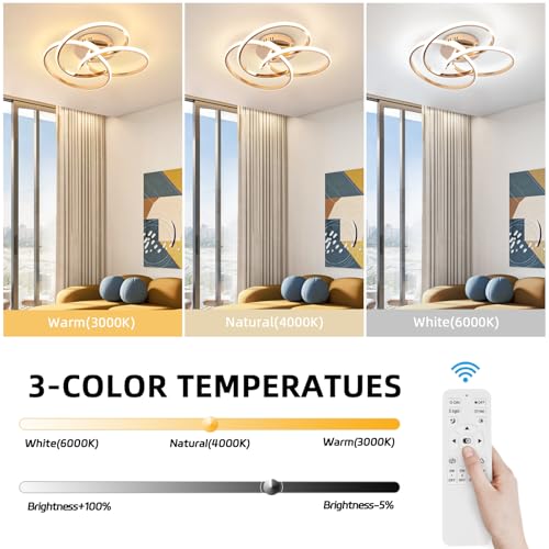 Modern LED Ceiling Light Fixture