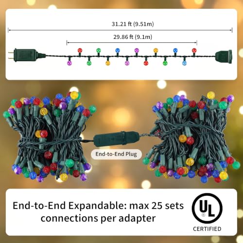 G14 Slow Twinkle Multicolor Christmas Globe Lights (Multicolor / 100 LED)