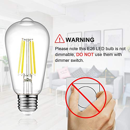 LED Edison Bulbs 6W (8 Count)