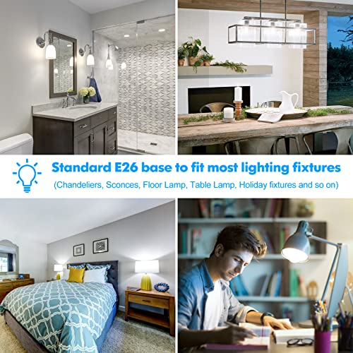 LED Light Bulbs (10 Count)