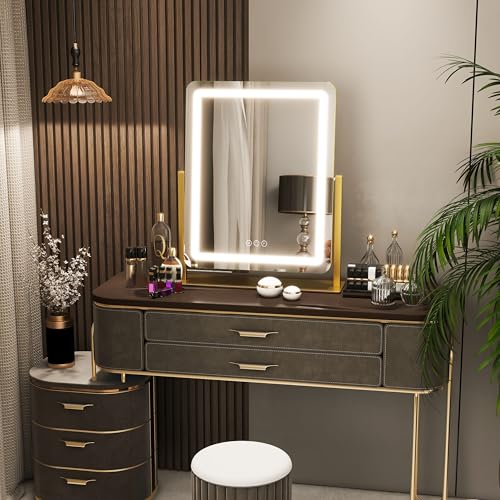 Vanity Mirror with Lights 22 Inch