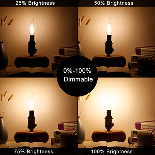 CA10 E12 Led Bulb (12 Count)