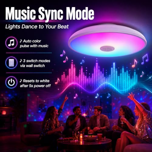 Bathroom LED Music Ceiling Light Fixture with Bluetooth Speaker