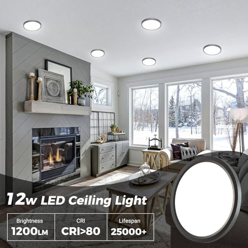 4Pack LED Ceiling Light Fixture 6.5 Inch (4 Count)