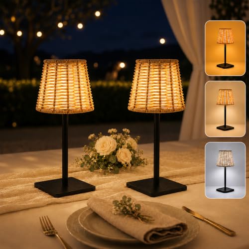 2 Pack Rattan Table Lamp (2 Count)