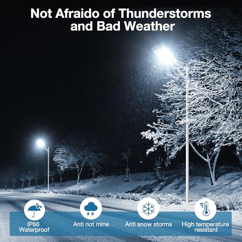 Solar Street Light