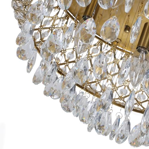 19.5'' Crystal Brass Chandelier