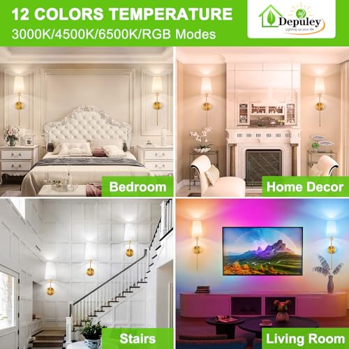 Battery Operated Wall Sconce