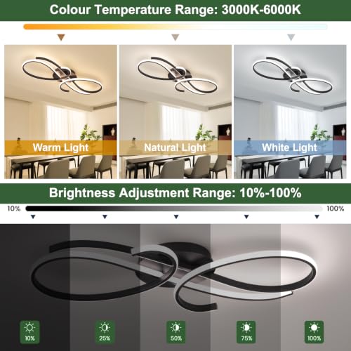 Modern LED Ceiling Light Fixture
