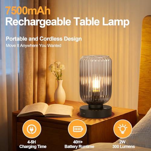 Cordless Table Lamp for Bedroom