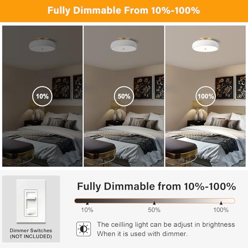 Dimmable LED Ceiling Light Fixture