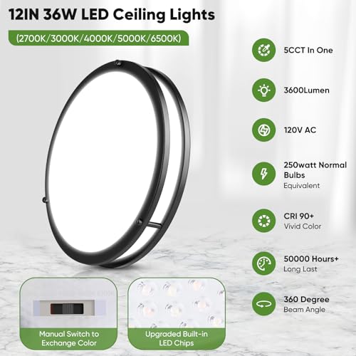 2 Pack 12 Inch Flush Mount Light Fixtures (2 Count)