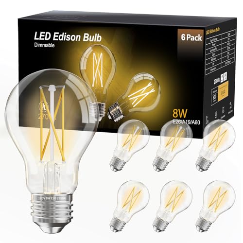 6 Pack A19 Vintage LED Edison Bulbs (6 Count)