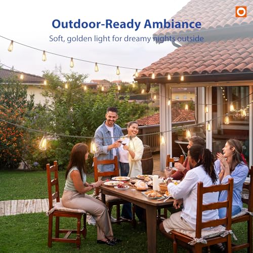 100FT(50FT*2) Outdoor String Lights ST38 LED with Remote Waterproof (100 Foot)