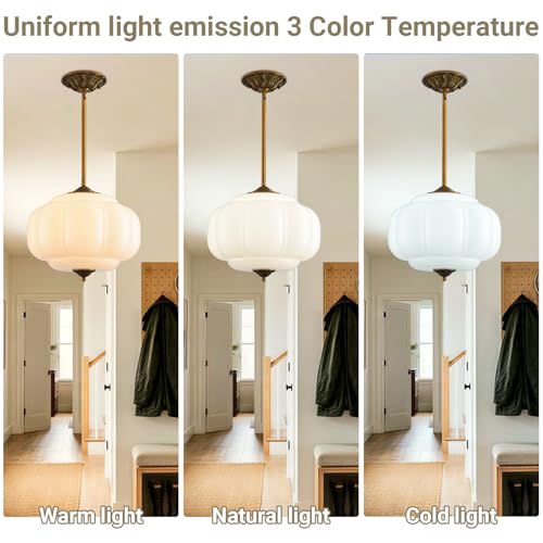 15 in White Milk Glass Ceiling Light Fixture