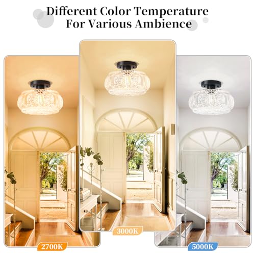 11 Inch Globe Glass Semi Flush Mount Ceiling Light Fixture