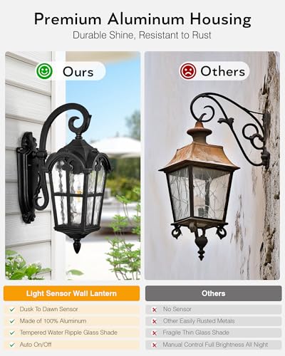 Black 2 Pack Outdoor Porch Lights (2 Count)