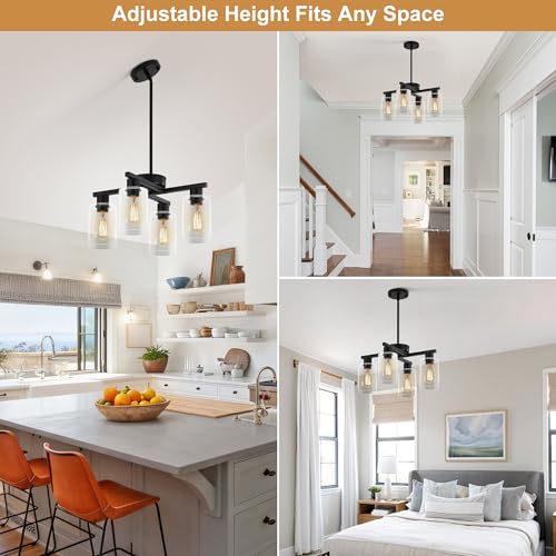 4 Light Modern Farmhouse Black Chandelier