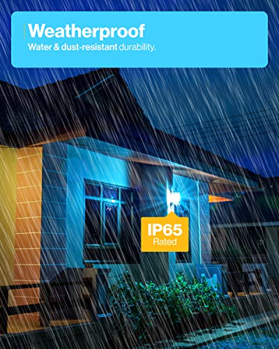 Sunco 16 Pack Edison Bulbs LED ST64 (16 Count)