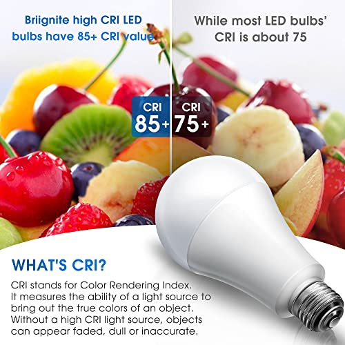 3 Way LED Light Bulbs 50 (2 Count)