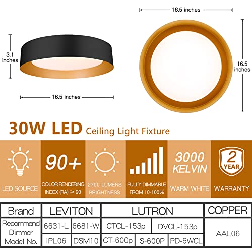 16.5 Inch Flush Mount Ceiling Light