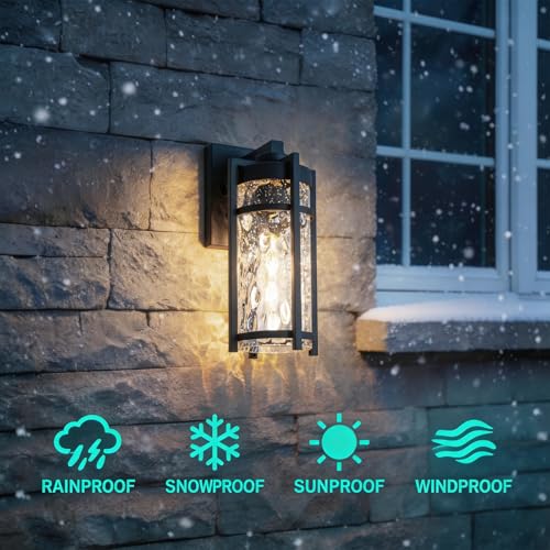 Outdoor Wall Light Fixtures (2 Count)