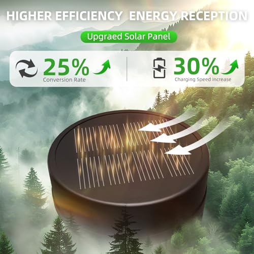 Solar Lights Outdoor (12 Count)