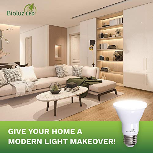 PAR20 5000K Daylight LED Bulbs (10 Count)