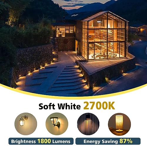Par38 led Flood Lights Outdoor Light Bulb (6 Count)