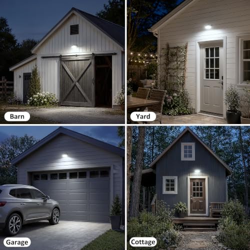 55W 6600LM LED Barn Light