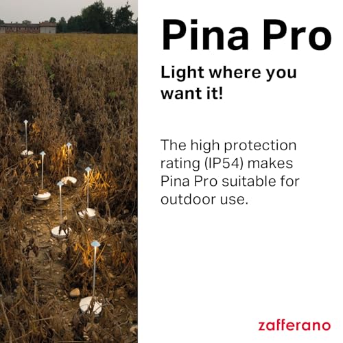 Pina Pro Rechargeable Cordless Lamp