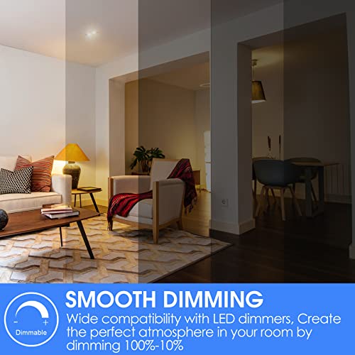 Dimmable LED Light Bulbs (20 Count)