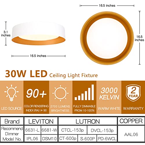 16.5" Flush Mount Ceiling Light