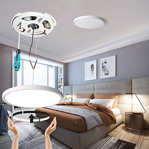Flush Mount LED Ceiling Light (2 Count)