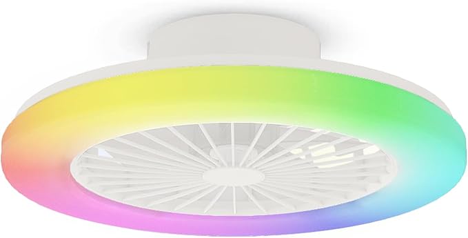 Modern LED Ceiling Light with Fan, RGB Ceiling Fan Lights, Ceiling Fan with lamp, 24 Ventilation speeds, infinitely dimmable Light for Living Room, Bedroom, Office, 3000-5500 K (White &19" & RGB)