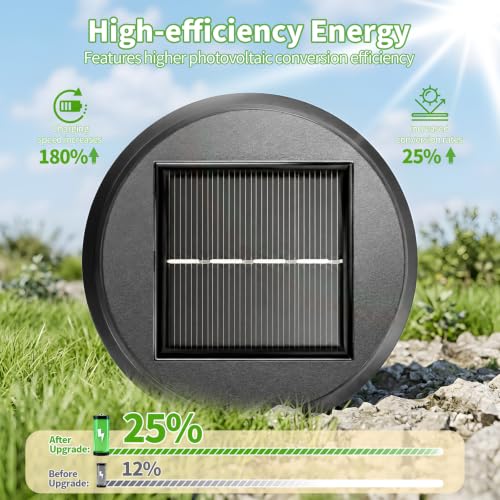 Solar Pathway Lights Outdoor (6 Count)