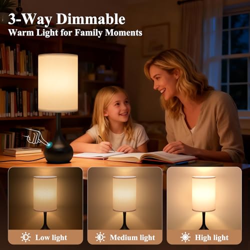 Touch Bedside Lamp for Bedroom