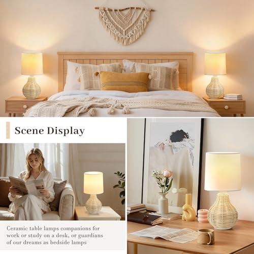 Rattan Table Lamp Boho Lamps Set of 2 (2 Count)