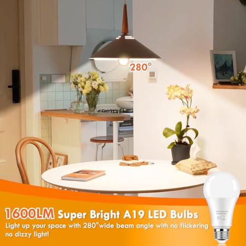 12 Pack A19 LED Light Bulb (12 Count)