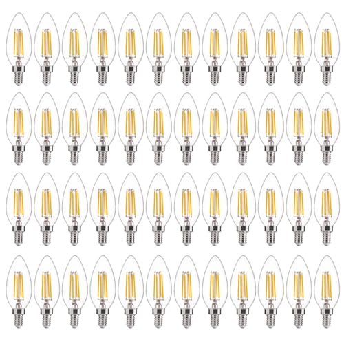 60W Equivalent LED Chandelier Light Bulbs (48 Count)