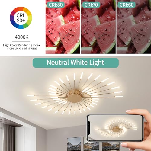 Modern Ceiling Light