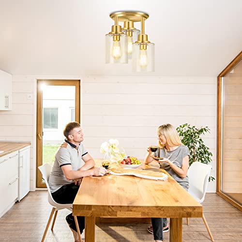 Semi Flush Mount Ceiling Light