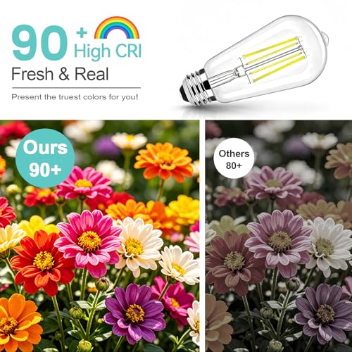 10 Pack Edison Bulbs 60W Equivalent (10 Count)