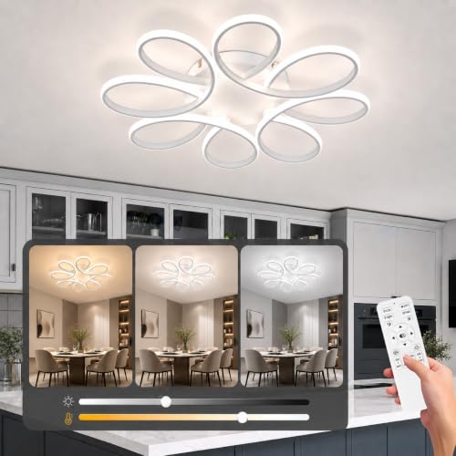29.53 inch Modern LED Ceiling Light