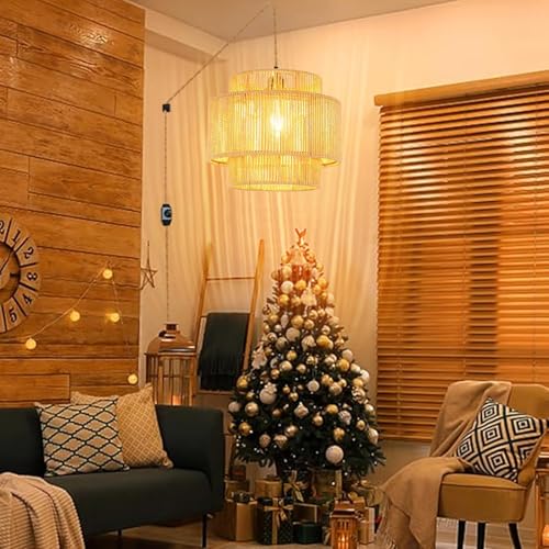 Plug in Pendant Light Hanging Lights with Plug in Cord Boho Hanging Lamp Dimmable